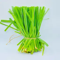 Leek